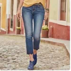 Driftwood Candace Scalloped Hem Medium Wash Jeans Size 28
